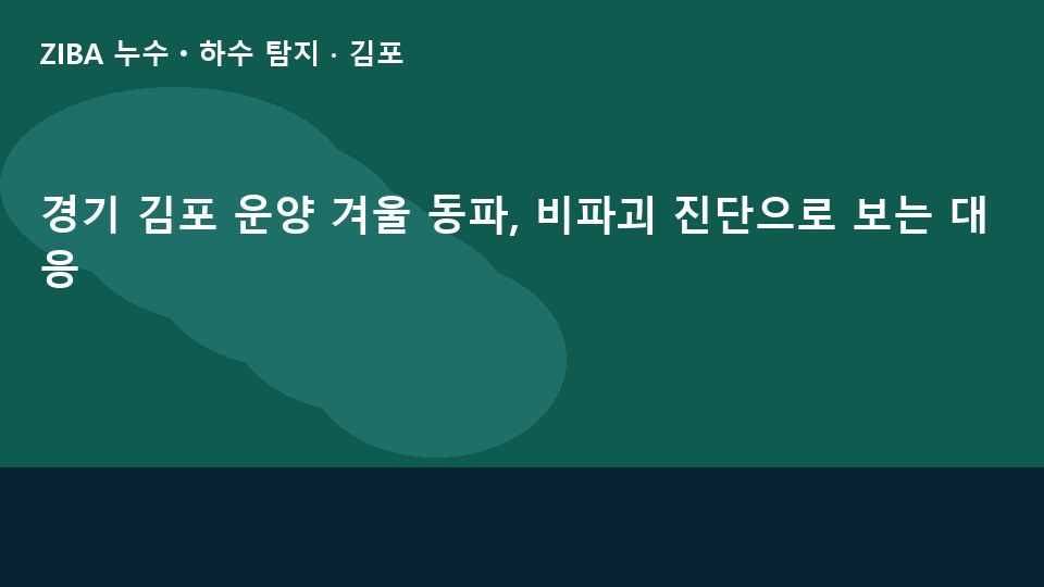경기 김포 운양 겨울 동파, 비파괴 진단으로 보는 대응
