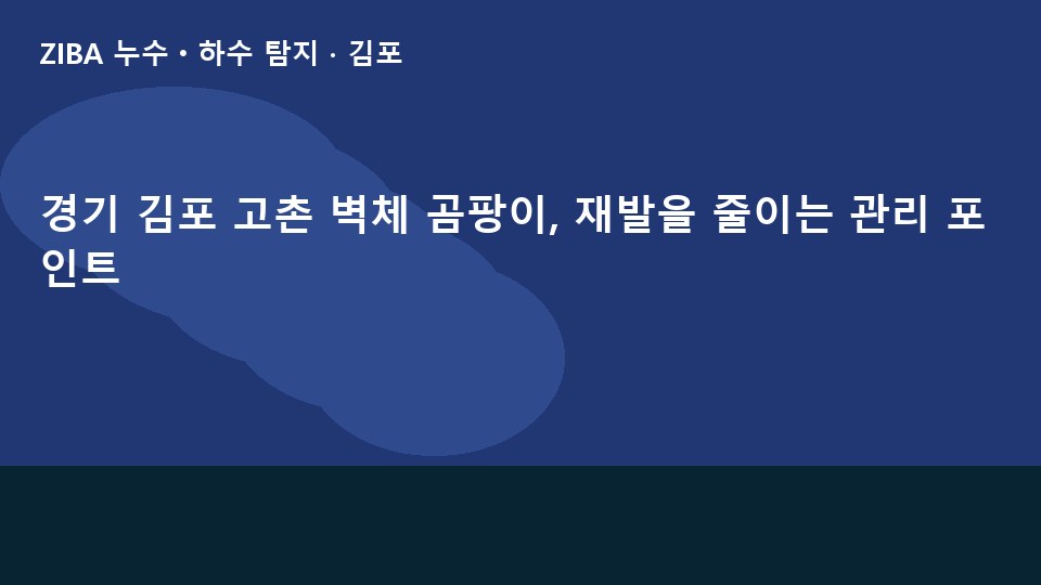 경기 김포 고촌 벽체 곰팡이, 재발을 줄이는 관리 포인트