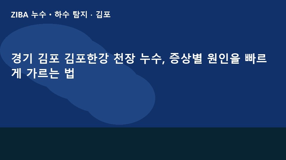 경기 김포 김포한강 천장 누수, 증상별 원인을 빠르게 가르는 법