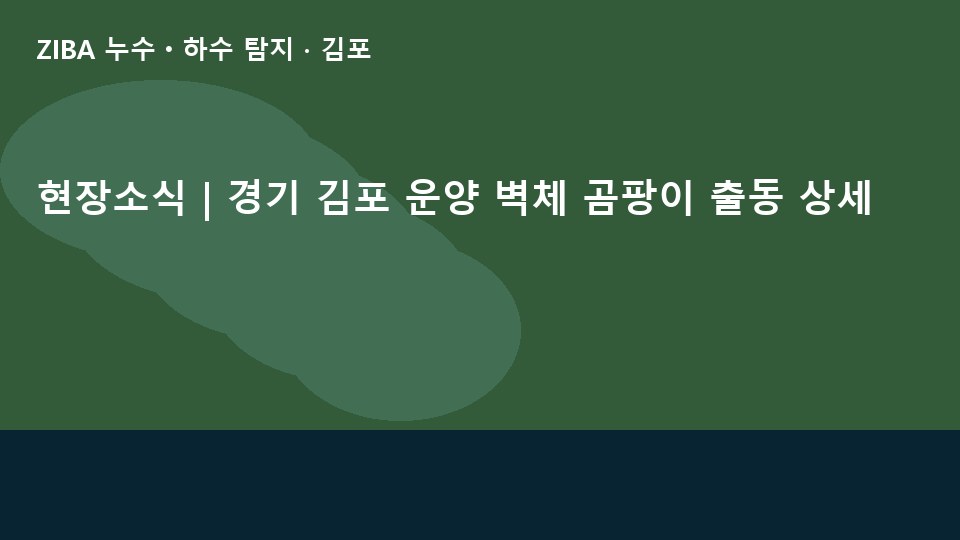 현장소식 | 경기 김포 운양 벽체 곰팡이 출동 상세