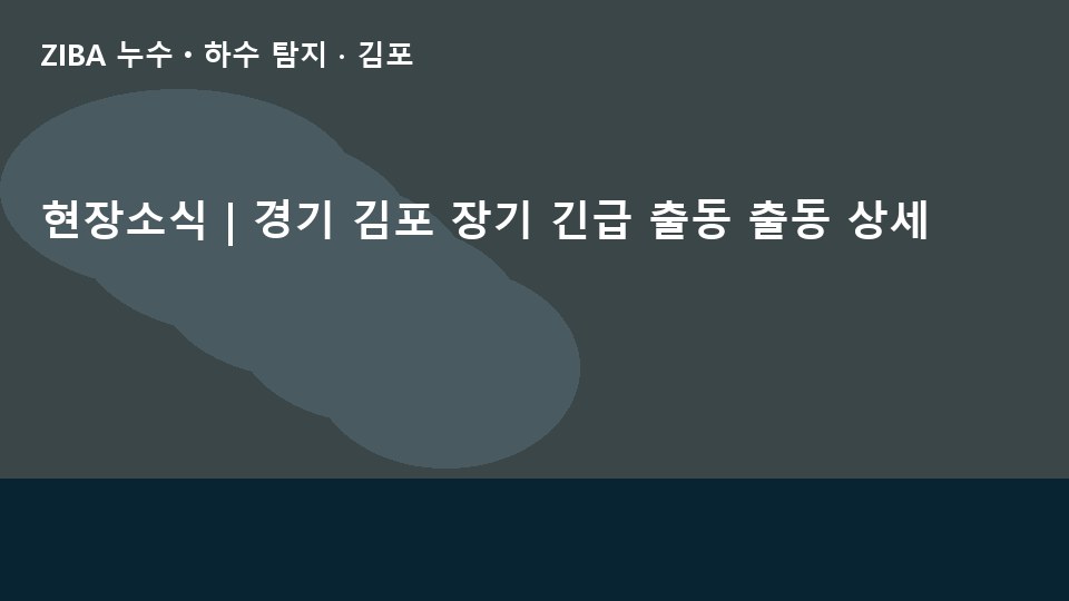 현장소식 | 경기 김포 장기 긴급 출동 출동 상세