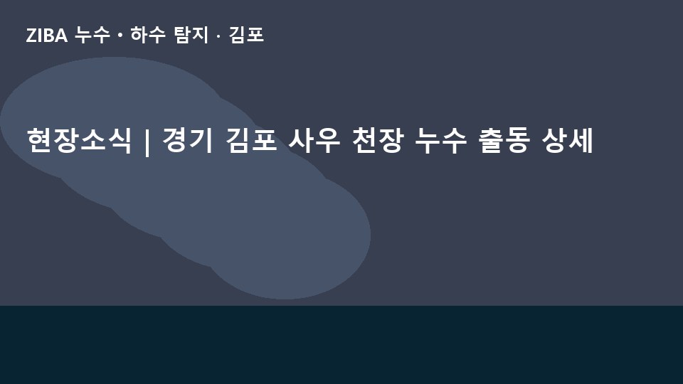 현장소식 | 경기 김포 사우 천장 누수 출동 상세